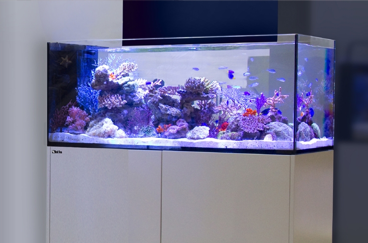 Red Sea Reefer Peninsula 500 Deluxe Schwarz kaufen Red Sea Reefer Peninsula 500 Deluxe Raumteiler