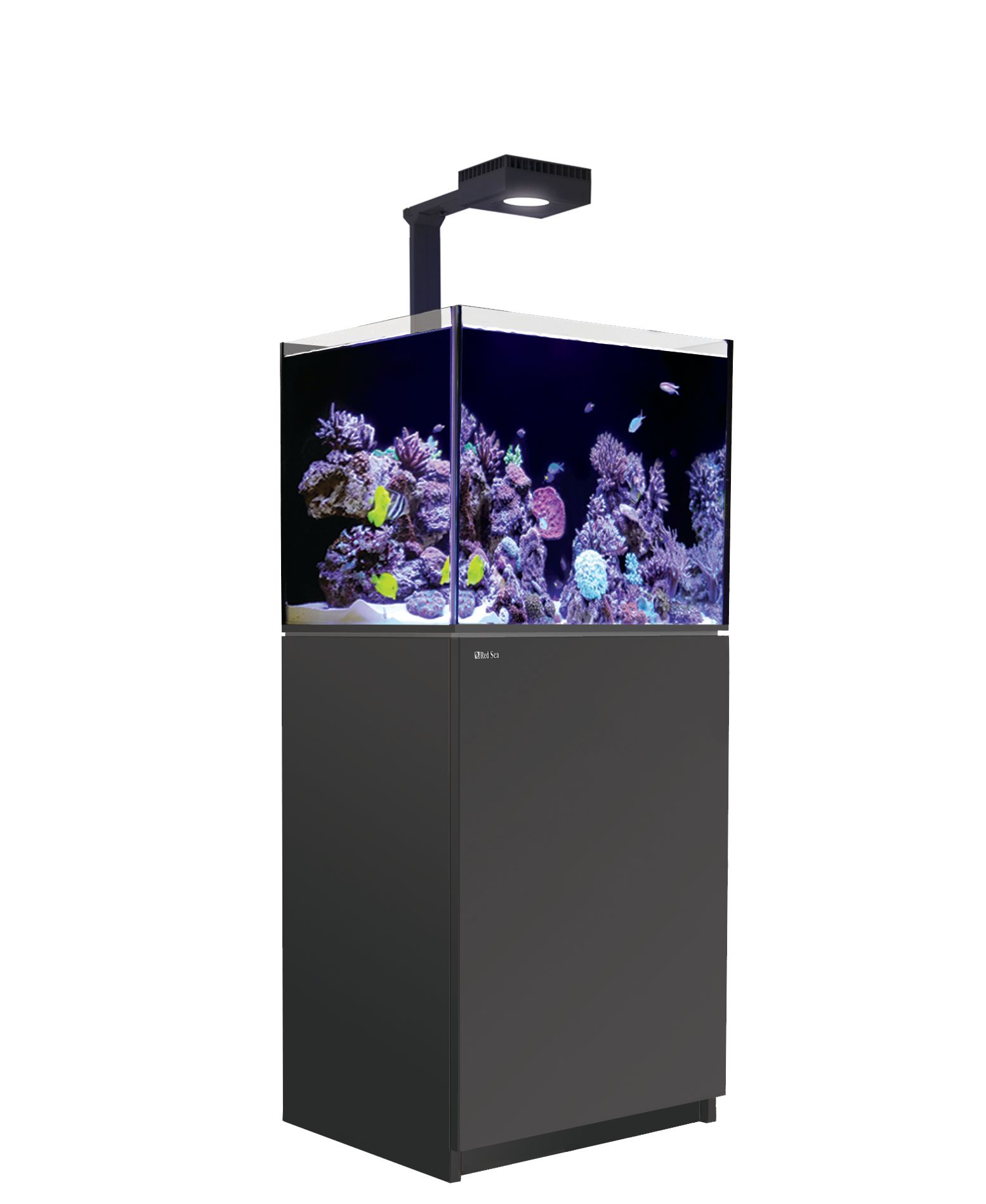 RED SEA Reefer 170 G2+ Deluxe Complete System Aquarium