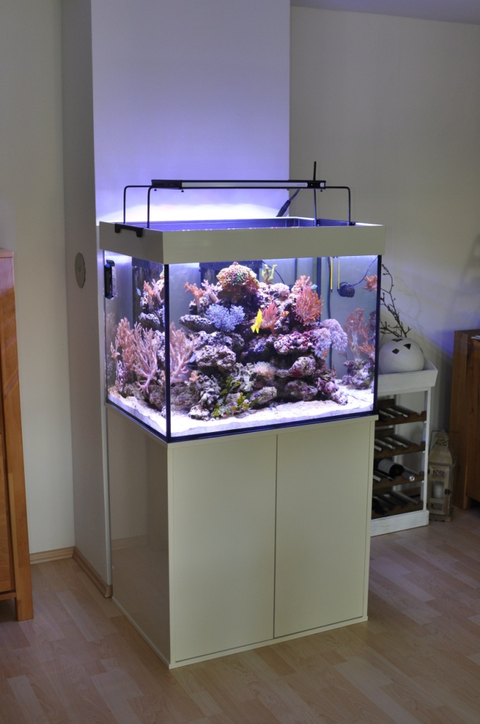 Aquarium Kombi  Meerwasser Reff 80 gerade mit Opti White