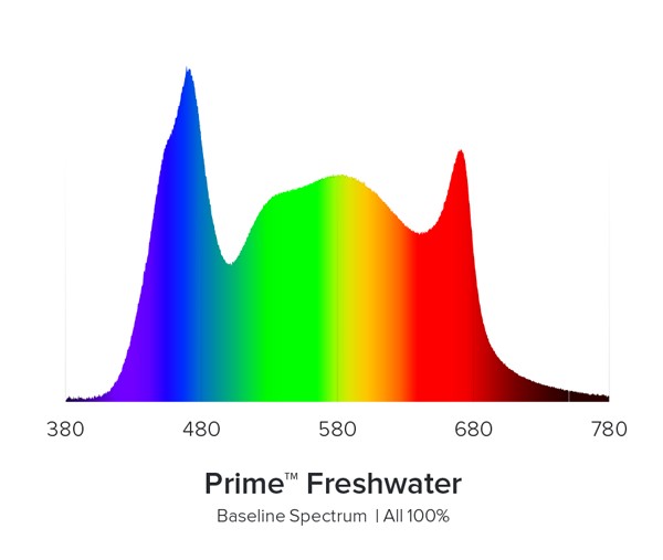 AI Prime 16HD Süßwasser Weiß