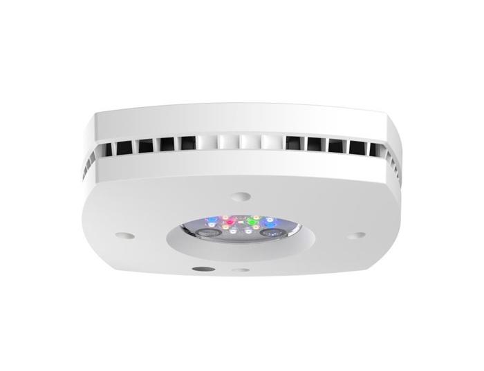 AI Prime 16HD Süßwasser Weiß