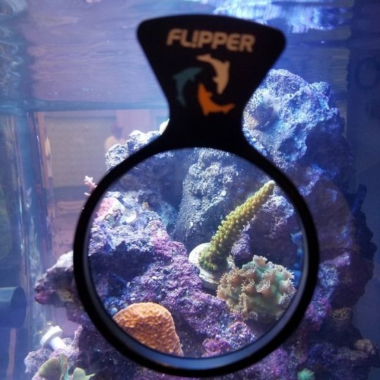 Flipper DeepSee - Vergrößerungslupe - MAX