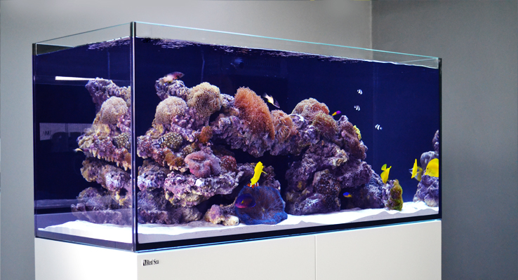 Red Sea Reefer 350 G2+ Aquarium