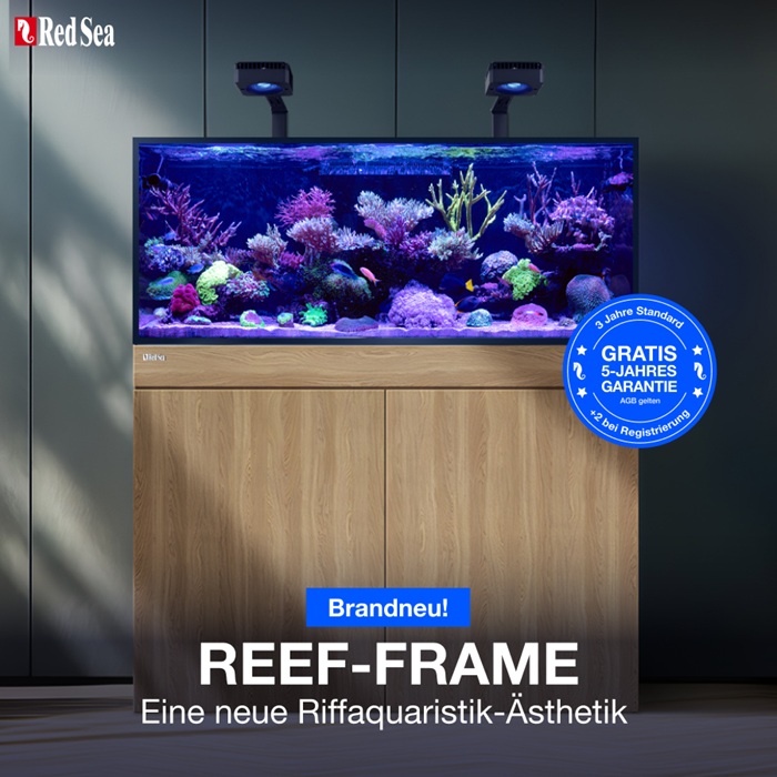 RED SEA REEF-FRAME Weiß Aquarium 500