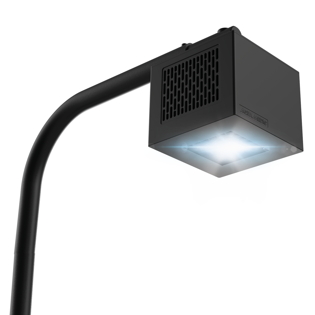 LED Qube 60.2