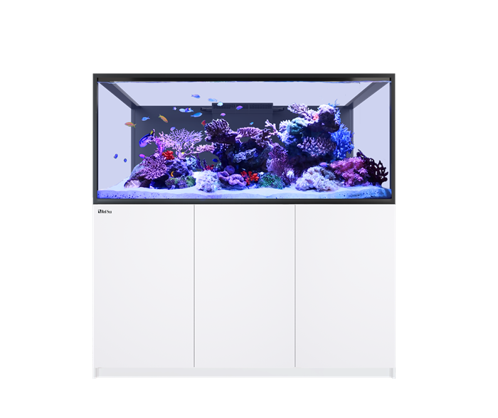 Red Sea REEFER-S 700 G3 Aquarium