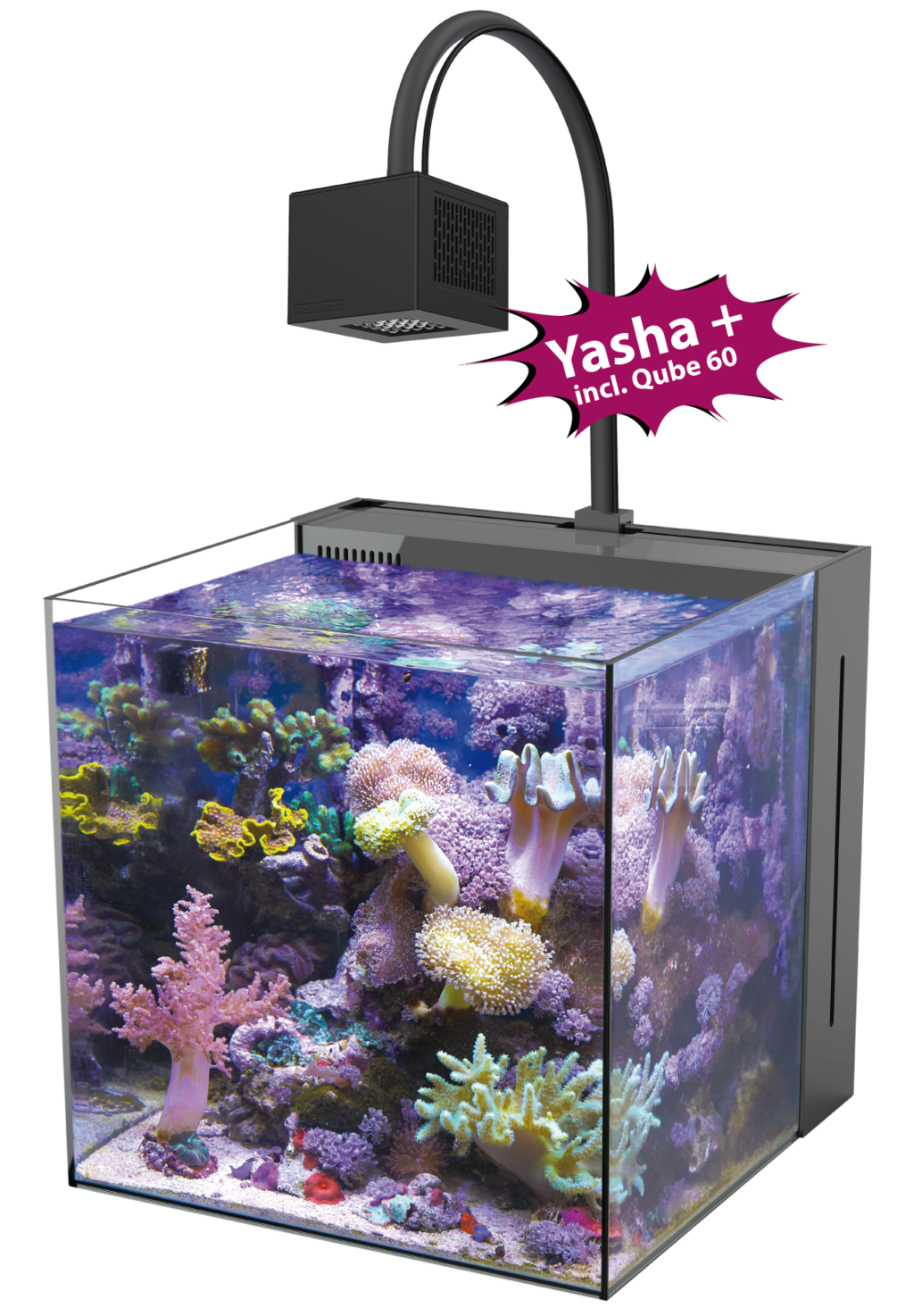 Aqua Medic Yasha+ 60 mit Qube 60 Meerwasser-Komplettbecken