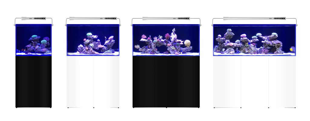 L'Aquarium 250L Schwarz L'Aquarium 250L Schwarz