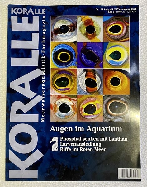 KORALLE Augen im Aquarium