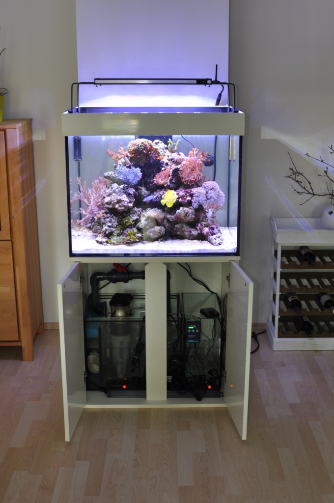 Aquarium Kombi  Meerwasser Reff 110 gerade mit Opti White