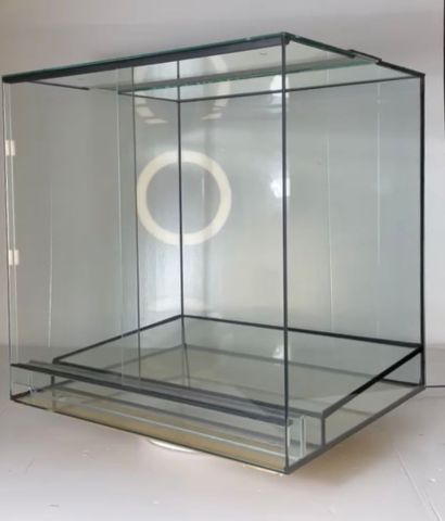 Terrarium Glas incl. Edelstahlgaze