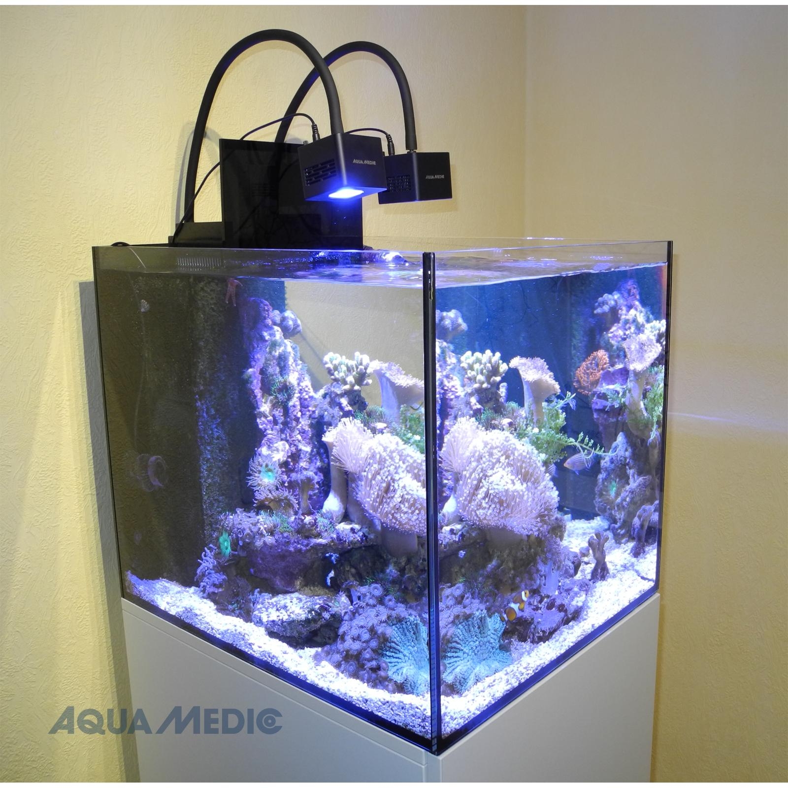 Aqua Medic Aquarium - Cubicus CF Qube 