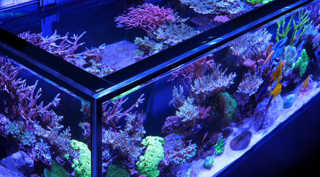 Red Sea REEFER-S 700 G2+ Aquarium