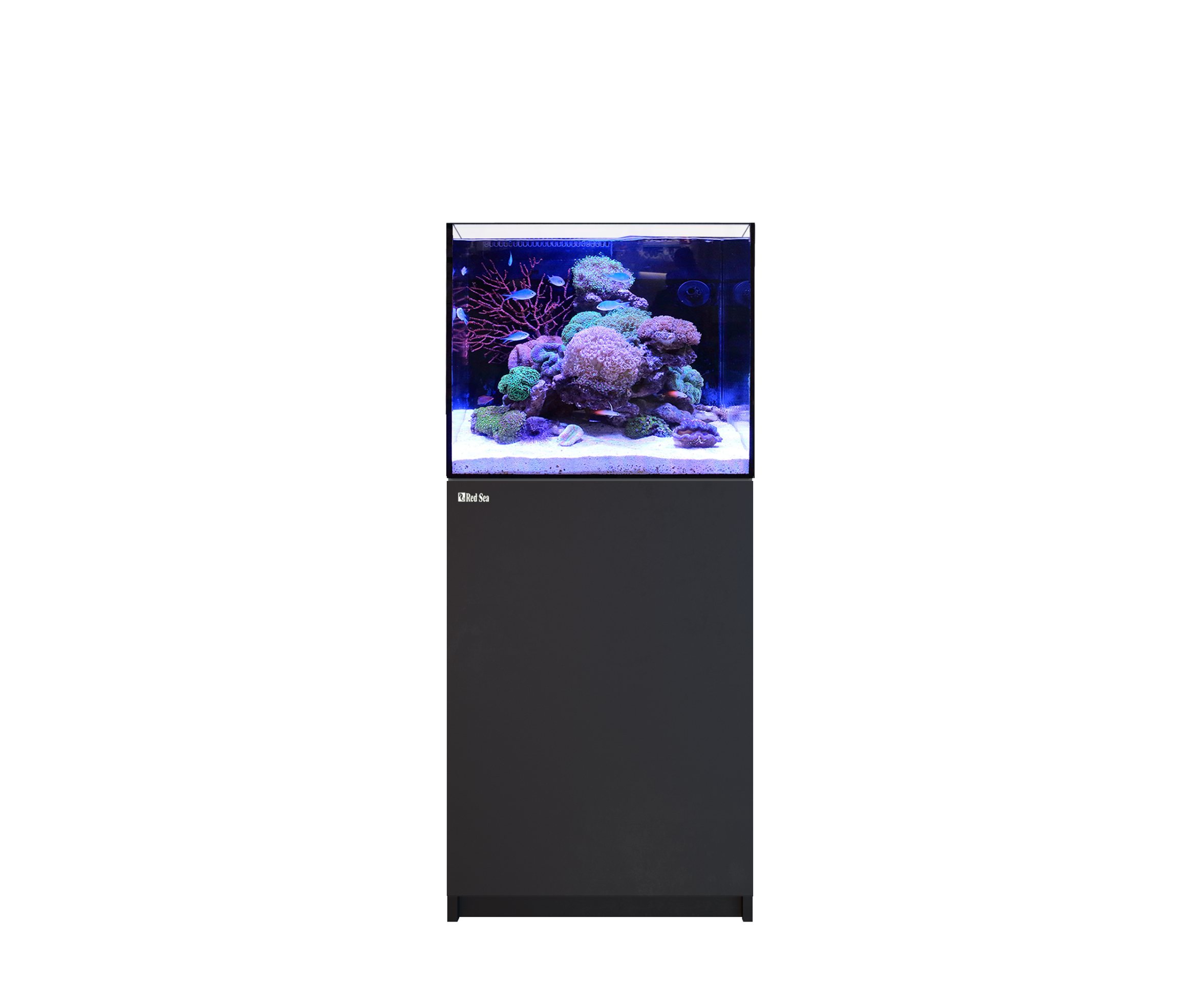 RED SEA REEFER Aquarium 170 G3