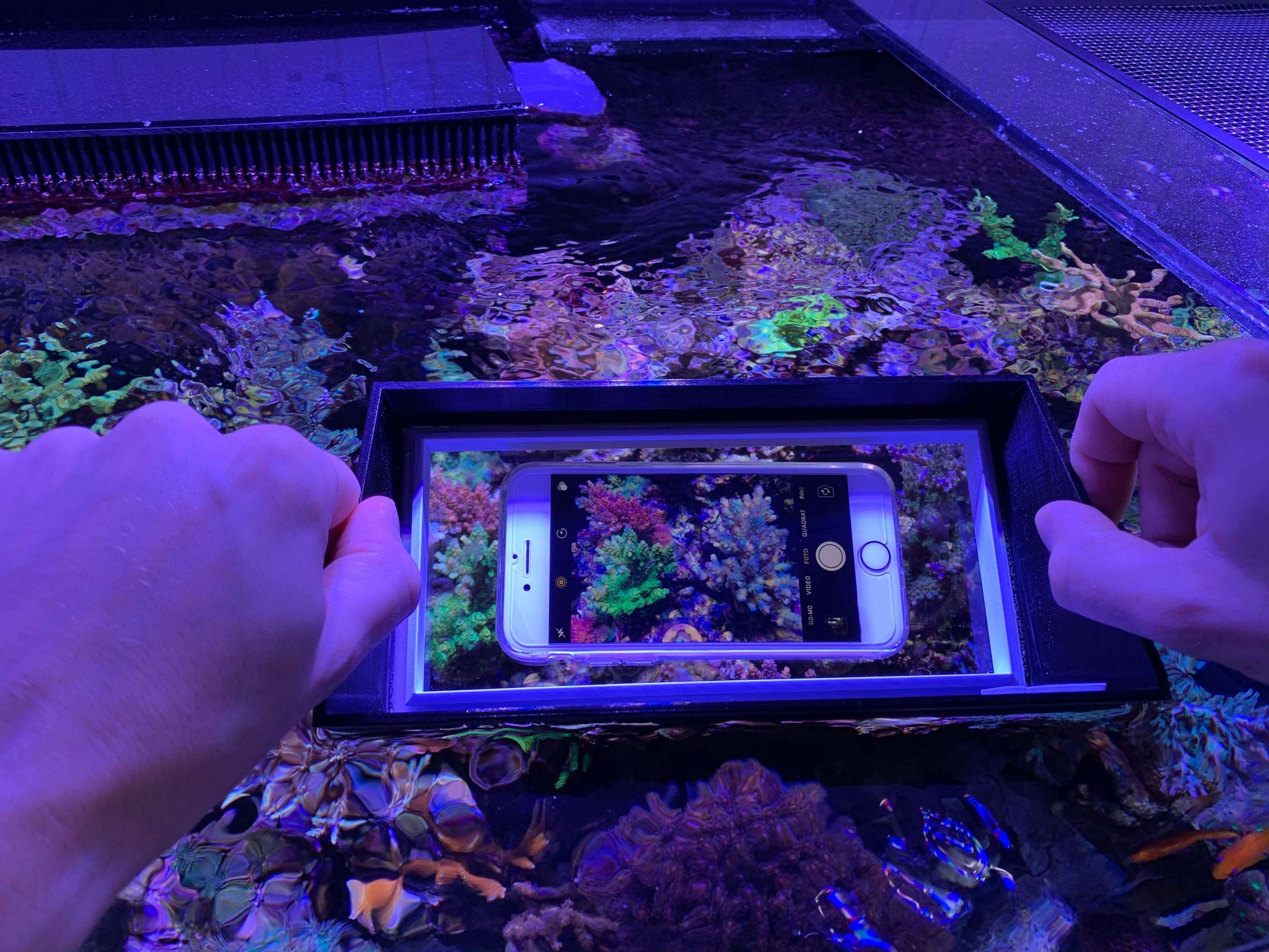 ReefMaker - Reef View