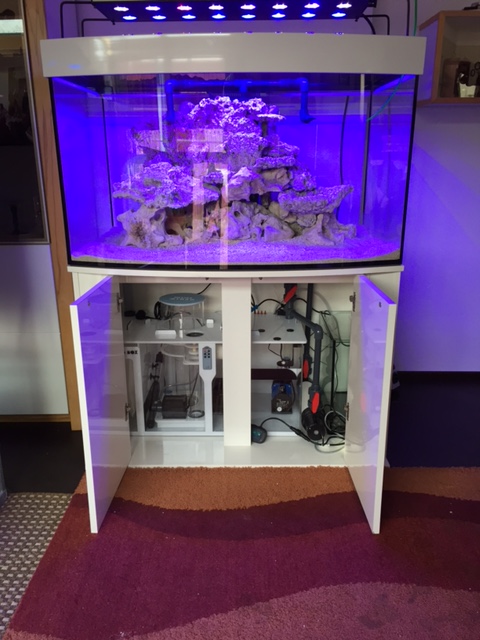 Aquarium Kombi  Meerwasser MC Reff 80 gebogen