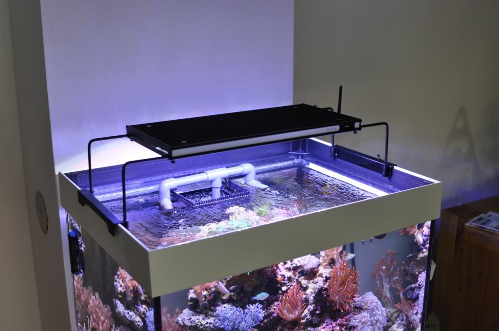 Aquarium Kombi  Meerwasser Reff 80 gerade mit Opti White