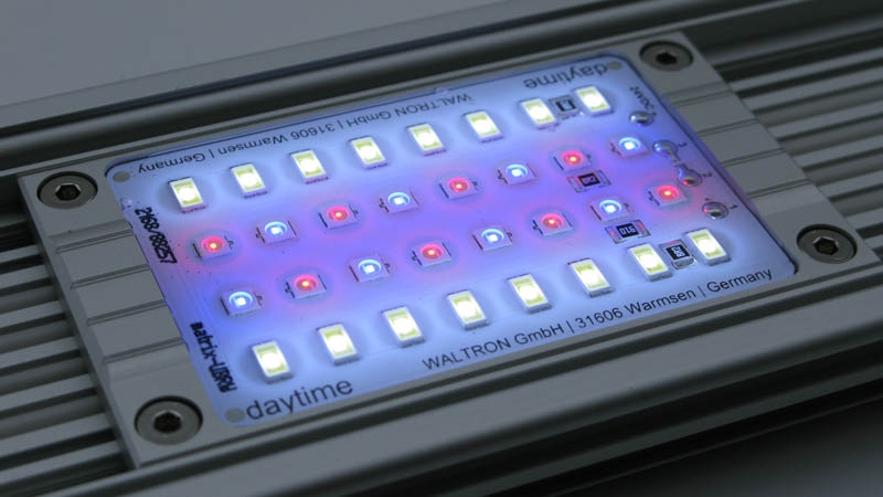 Die Daytime® matrix LED-Module Ultra Blue Red White 440-455 nm + 620-630 nm + 8.000 K
