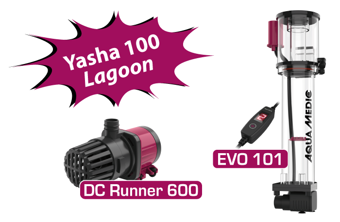 Yasha 100 Lagoon - Nano Shallow Reef NEU!