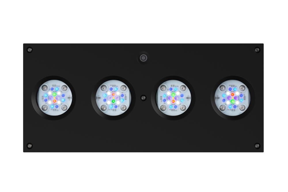 AI Hydra HD 64 LED 