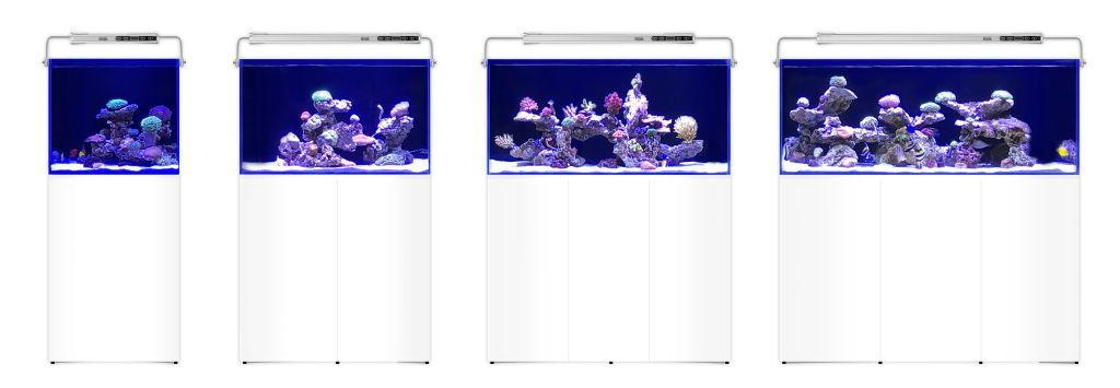 L'Aquarium 250L Schwarz L'Aquarium 250L Schwarz