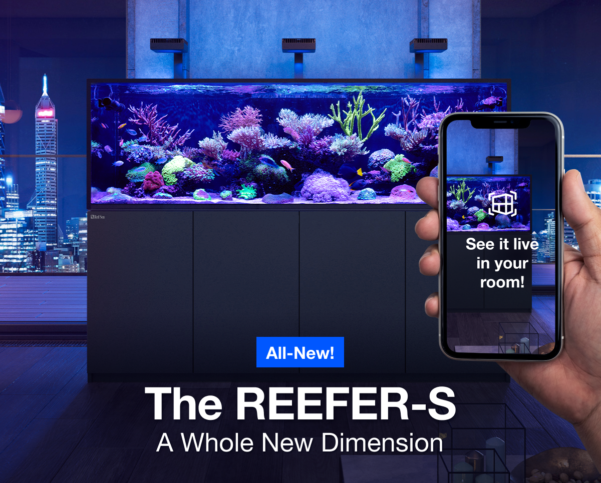 Red Sea REEFER-S 550 G2+ Deluxe Complete System 2 x LED RL 160 & Montagehalterungen 