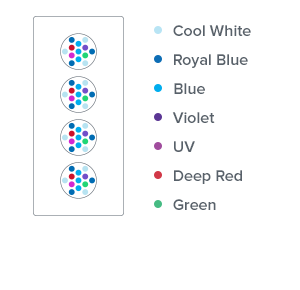 AI Hydra HD 64 LED 