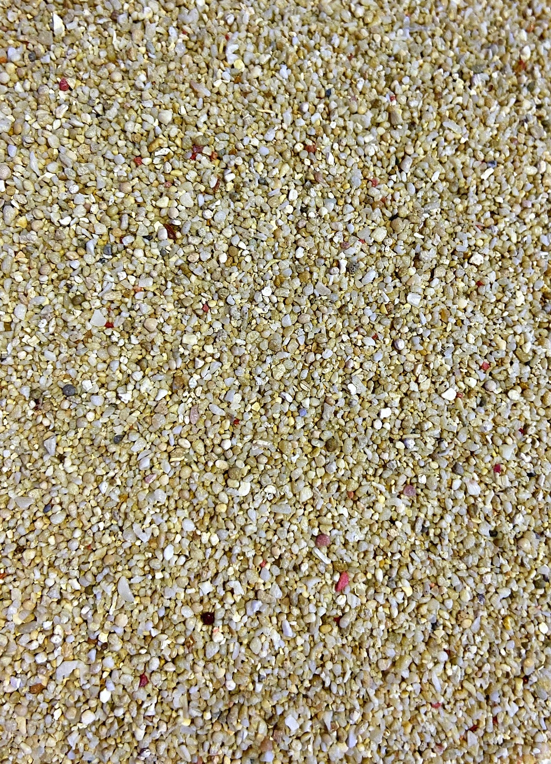 Korallensand 10kg 1mm