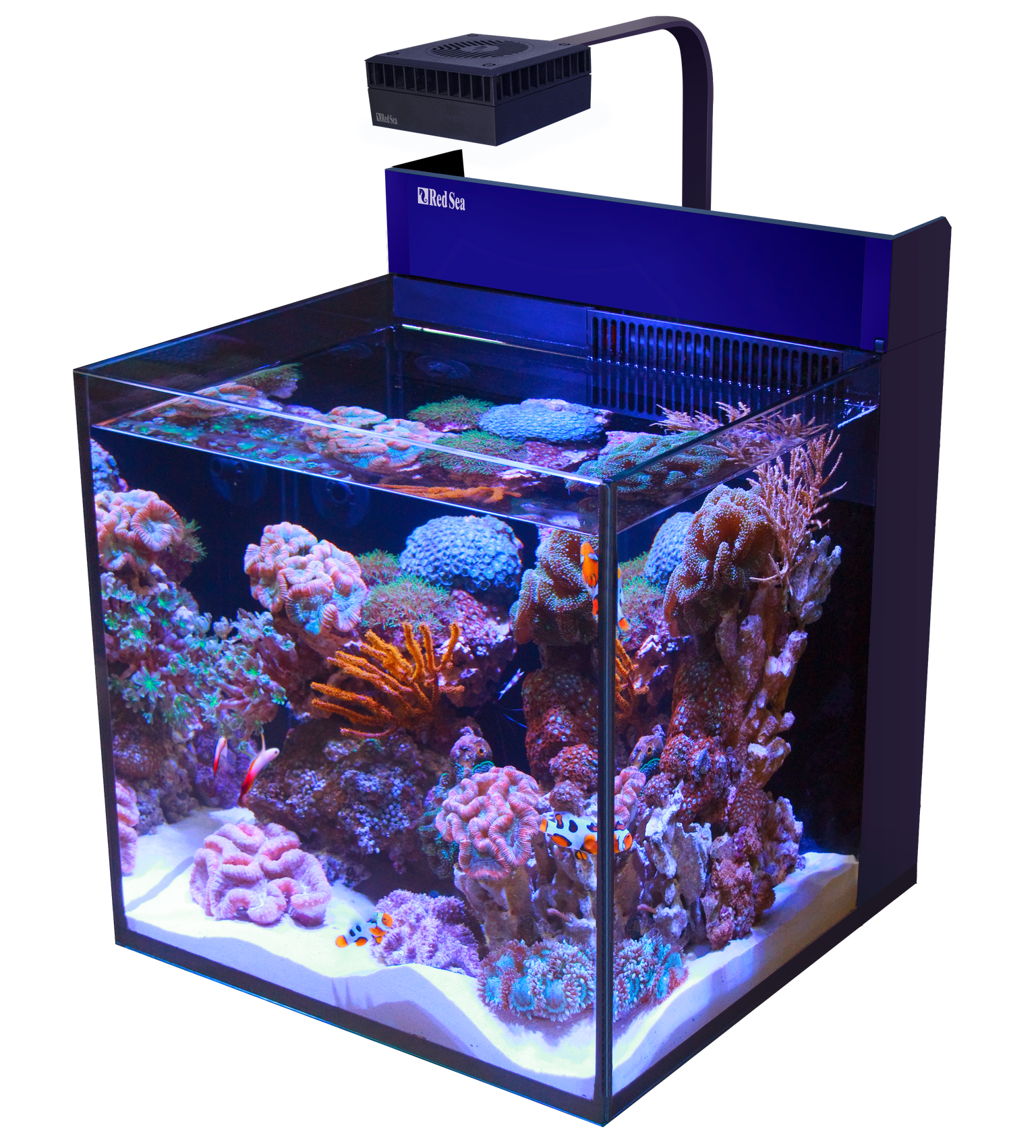 Meerwasseraquarium kaufen: Komplettset Meerwasser Aquarium im Online Shop