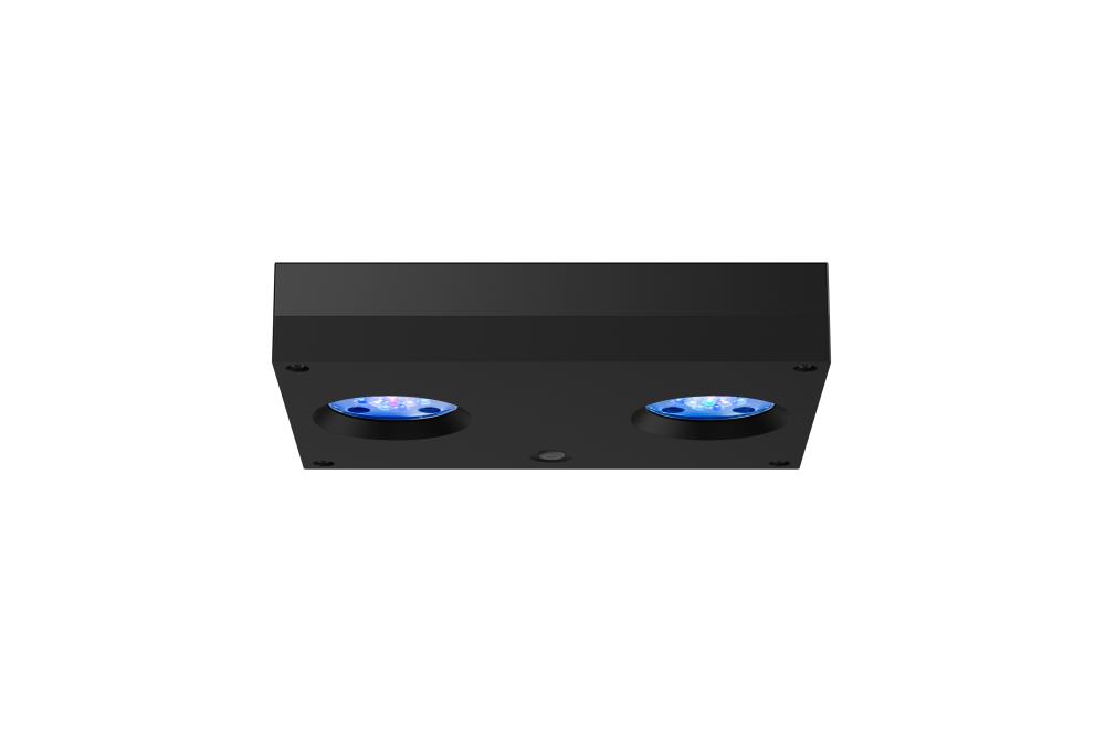 AI Hydra HD 32 LED AI Hydra HD 32 LED