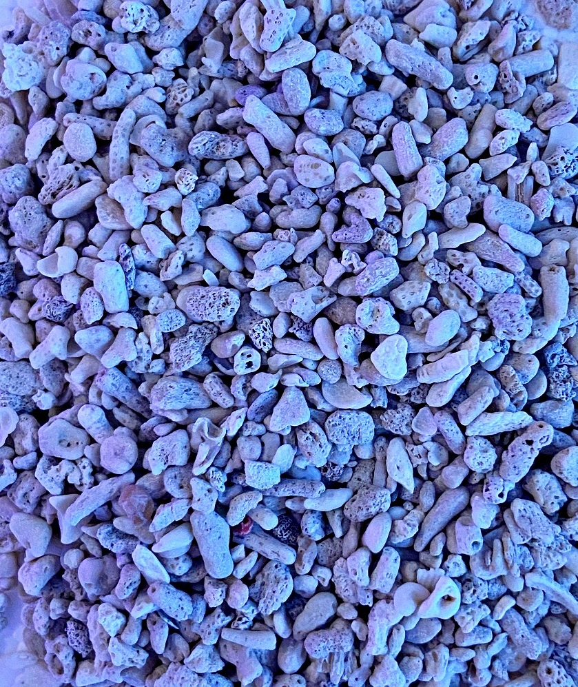 Korallensand 5kg 3-5mm