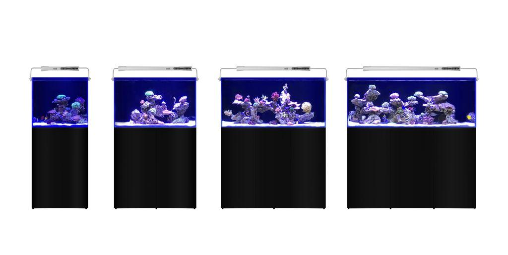 L'Aquarium 250L Schwarz L'Aquarium 250L Schwarz