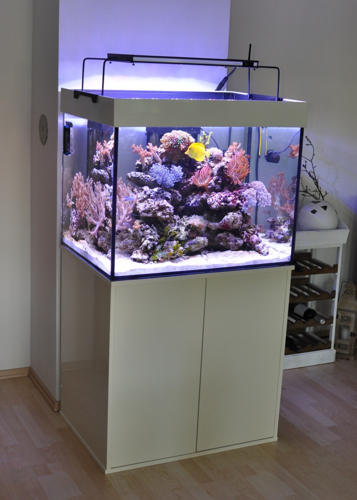 Aquarium Kombi  Meerwasser Reff 110 gerade mit Opti White