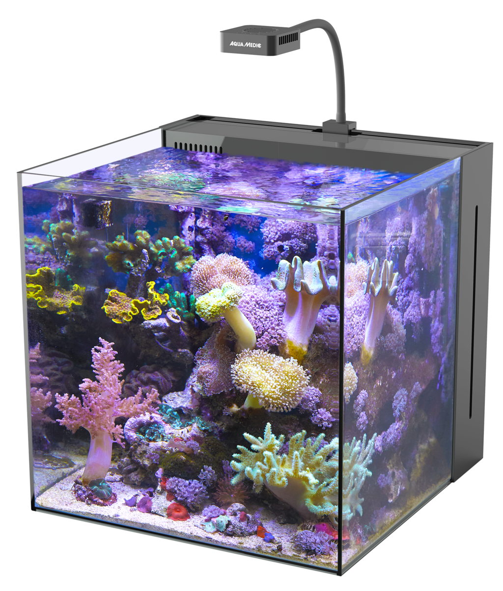 Aqua Medic Yasha 60 mit Qube 40 Meerwasser-Komplettbecken