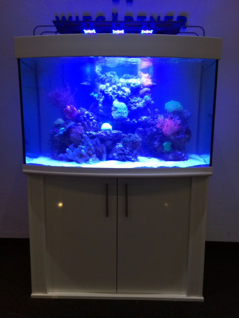 Aquarium Kombi  Meerwasser Reef 110 gebogen