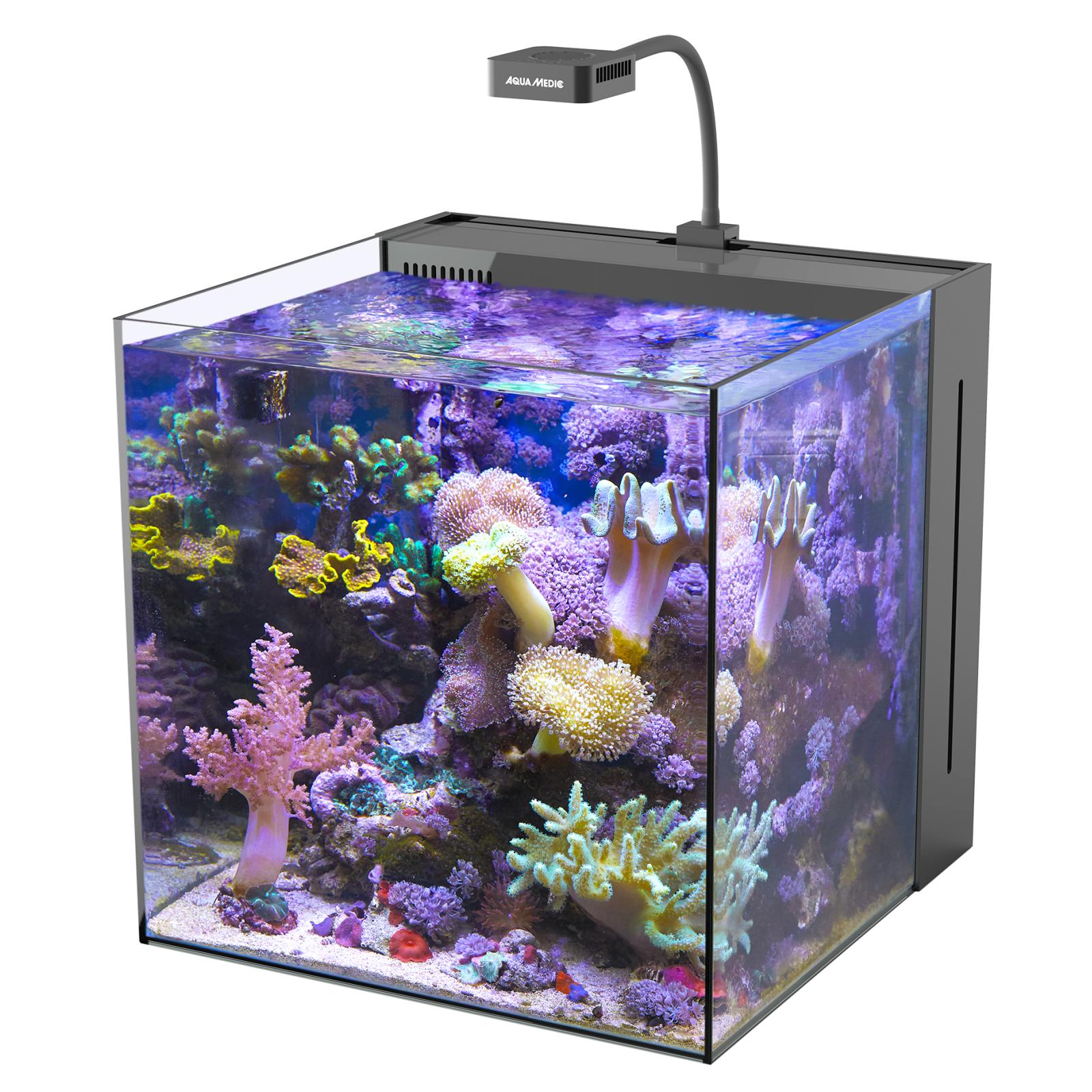Aqua Medic Yasha 90 Meerwasser-Komplettbecken