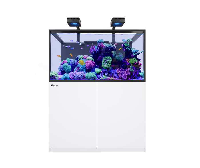 Red Sea REEFER-S 550 G3 Deluxe 