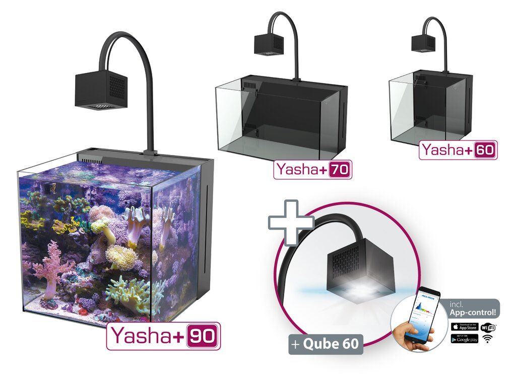 Aqua Medic Yasha+ 60 mit Qube 60 Meerwasser-Komplettbecken