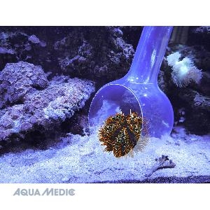 Fangkelle - catch bowl - Aqua Medic