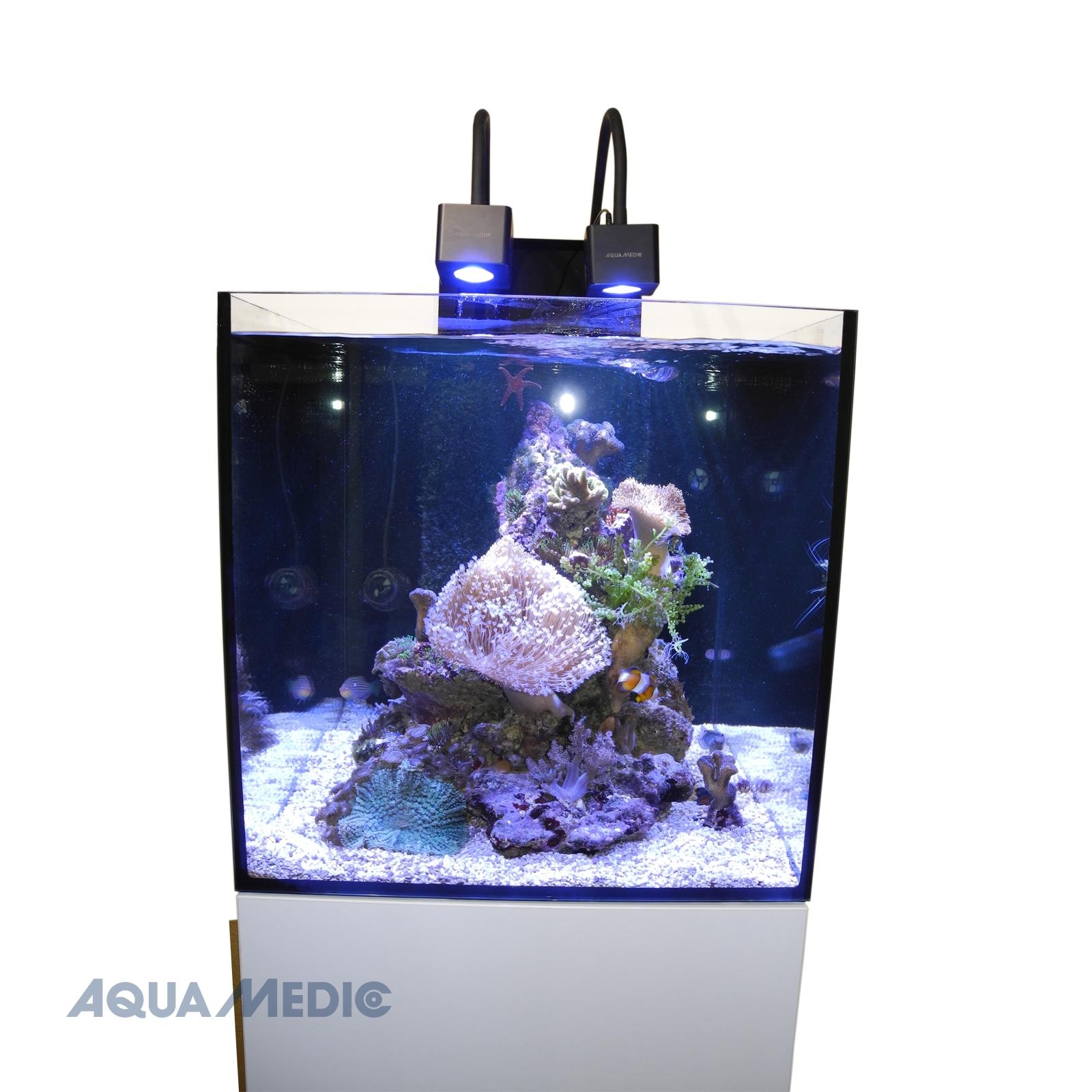 Aqua Medic Aquarium - Cubicus CF Qube 