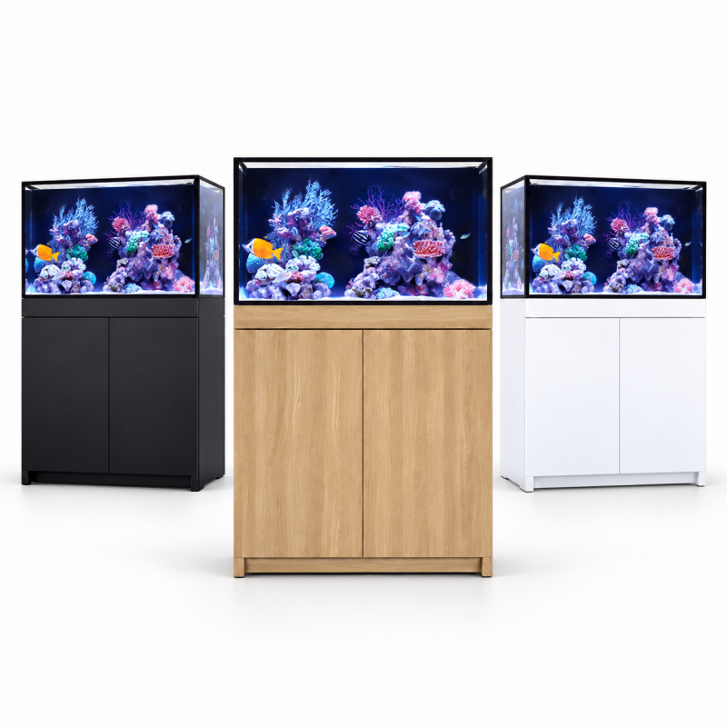 RED SEA REEF- Frame  Eiche Aquarium 350