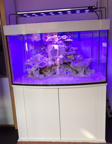 Aquarium Kombi  Meerwasser MC Reff 80 gebogen