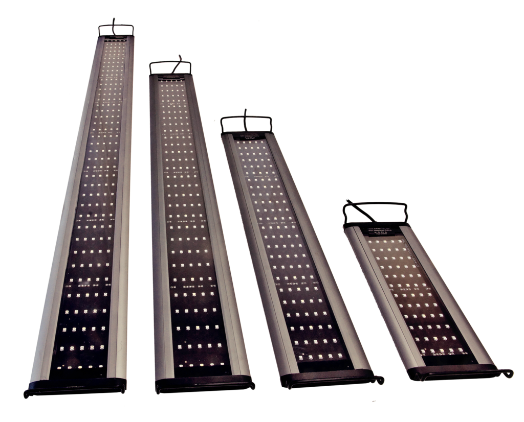 sunbeam LED Aquarienleuchte