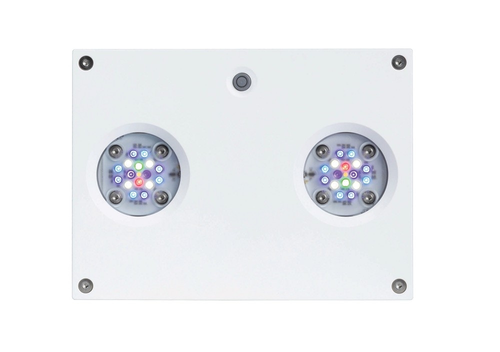 AI Hydra HD 32 LED