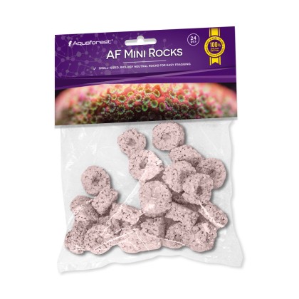 AF Rocks PURPLE Ablegersteine Set 24 Stk