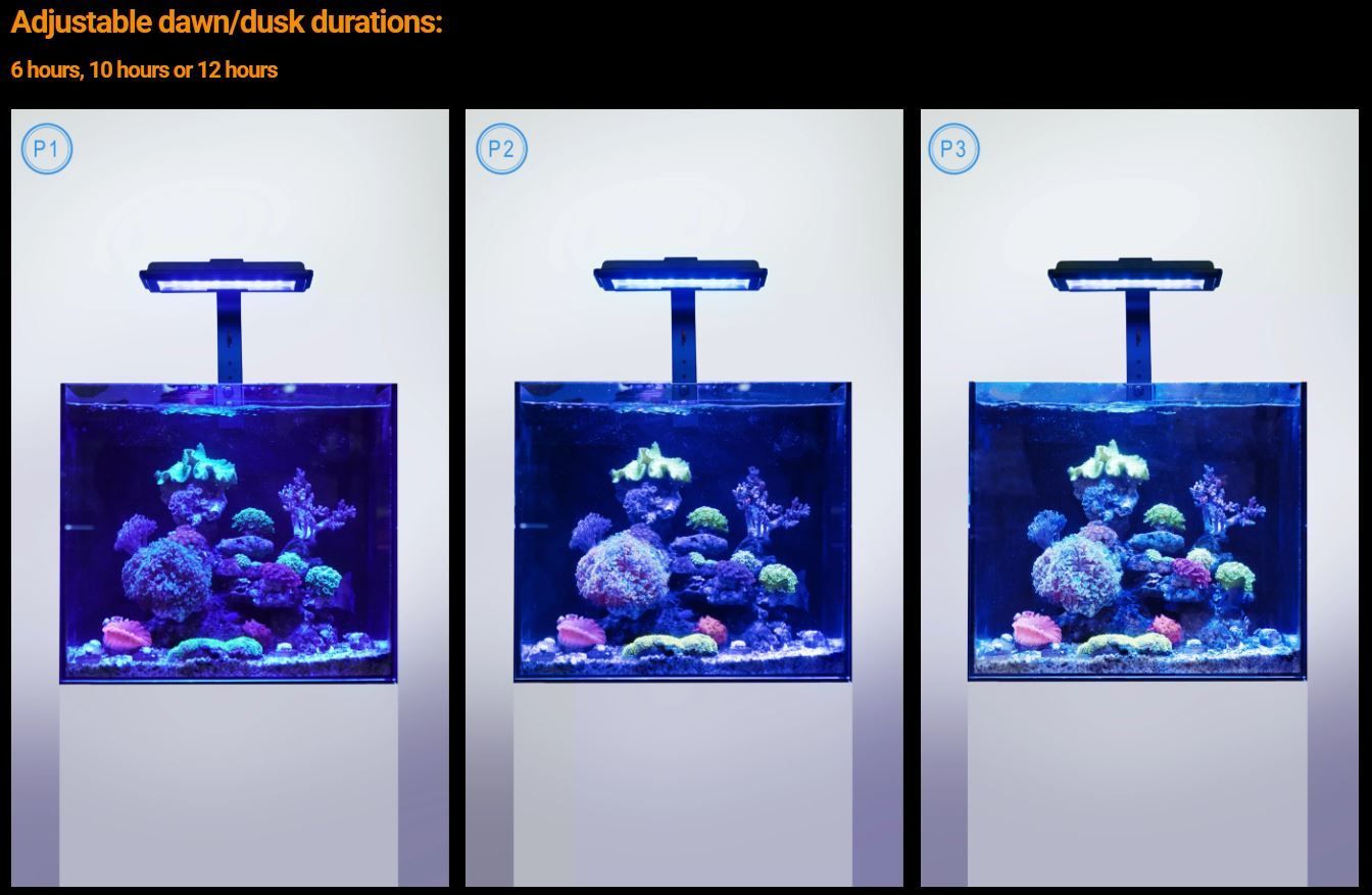 Maxspect Jump MJ-L230 LED Maxspect Jump MJ-L230 LED