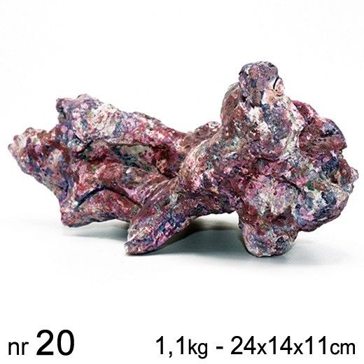 Reff Rock Base Base Rock n° 20 Reef Rock Base Rock n° 20