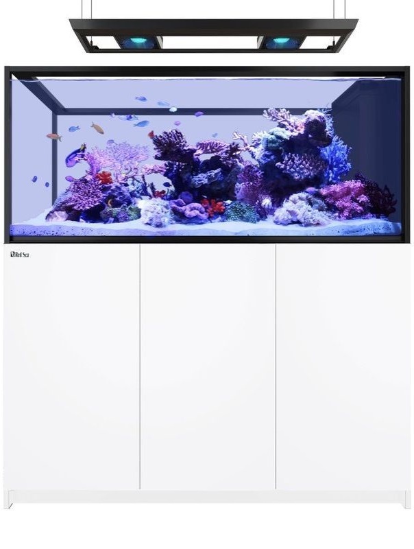 Red Sea REEFER Peninsula G2+ 700 Deluxe mit 2x RL160 und 155-180cm Hängehalterung