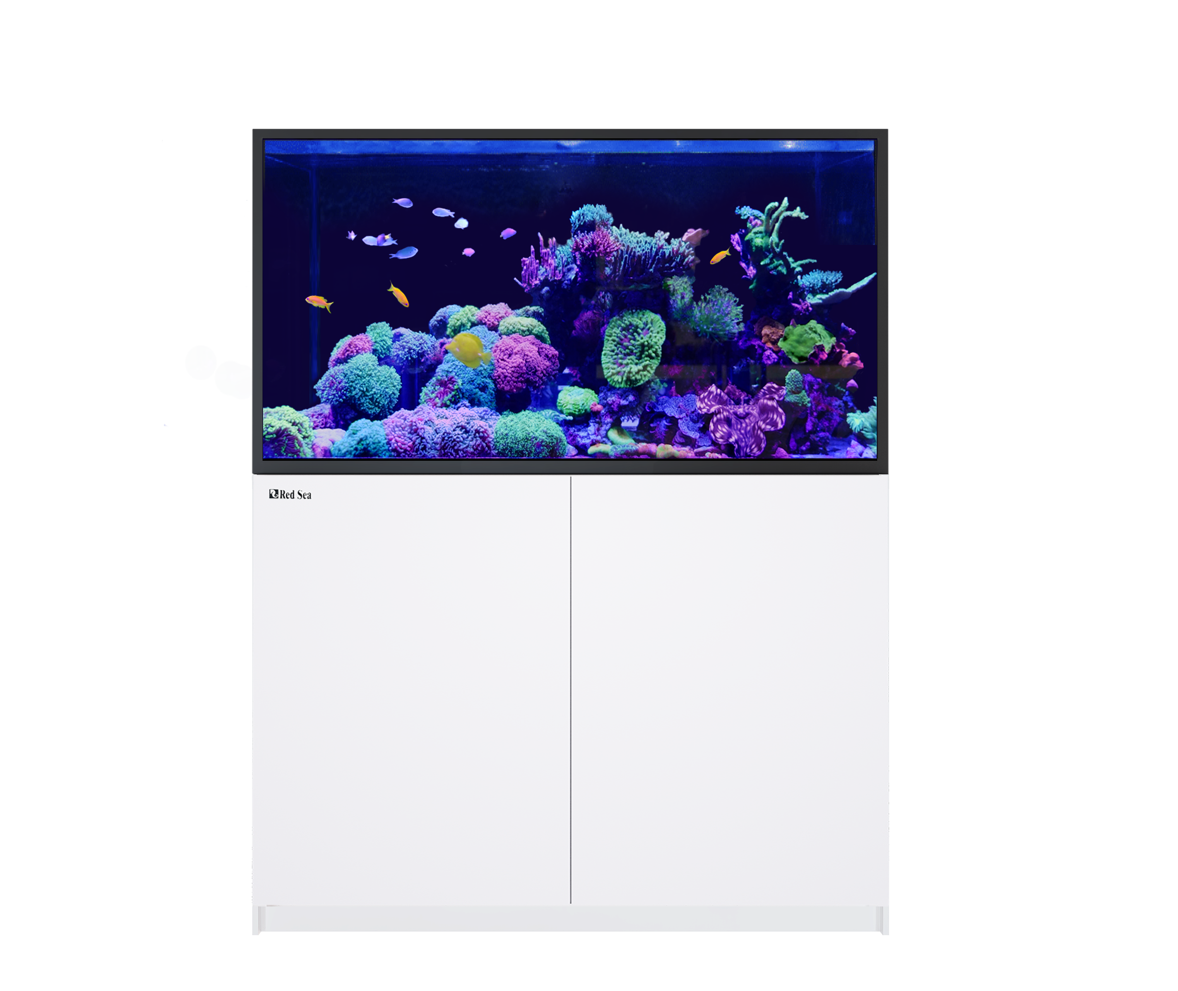 Red Sea REEFER-S 550 G2+  Aquarium