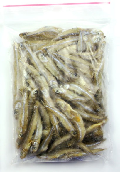 Frostfutter Stinte 100g Beutel (kleine Fische 4-6cm)